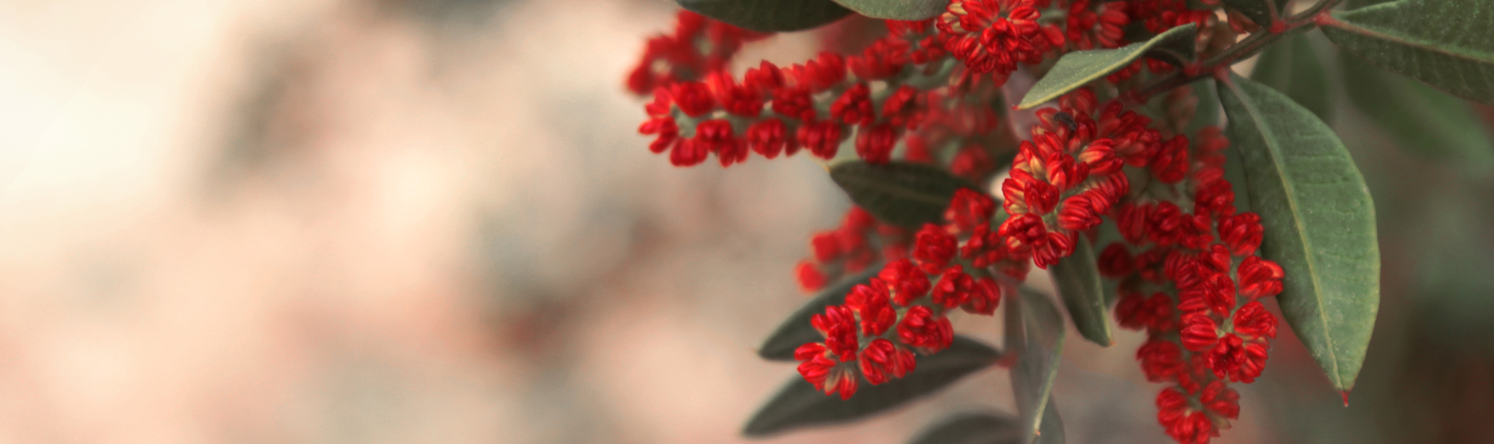PoreAway header